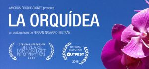 Lee más sobre el artículo ‘La Orquídea’ seleccionado en 80 Festivales Internacionales